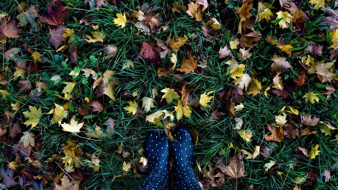 l'automne, feuilles, bottes en caoutchouc